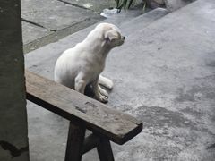 -小辣椒火盆烧烤(温泉南街店)