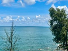 -广东惠东海龟国家级自然保护区