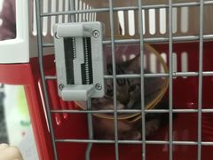 -萌兽医馆·绝育·24小时内科·宠物医院(德胜店)
