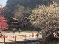 -车溪民俗旅游区