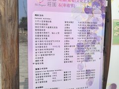 -圣露庄园·露营·烤肉·亲子