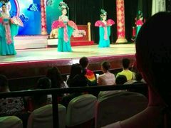 -金东尼人妖秀