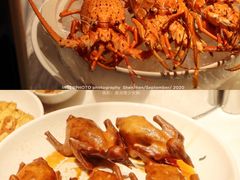陈皮乳鸽（15年陈皮单日卤制）-陈鹏鹏潮汕菜(欢乐海岸 海边景观店)