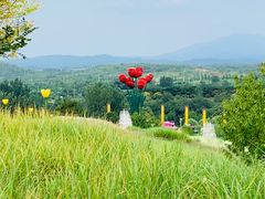 -密云玫瑰情园
