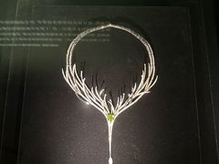 -深圳珠宝博物馆