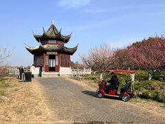 -上海海湾国家森林公园