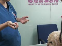 -哆趣宠物医院·眼科·内镜·急重症转诊中心(上海店)