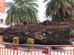 -海口骑楼小吃街