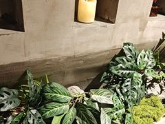 -施奈儿.洗头頭療.按摩SPA.采耳(上梅林店)