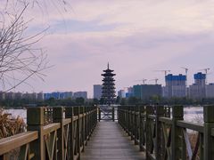 -洋湖国家湿地公园
