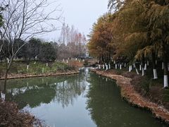 -绍兴镜湖国家城市湿地公园