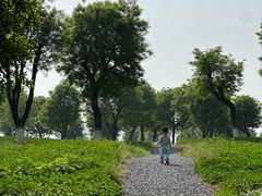 -汉长安城未央宫国家考古遗址公园