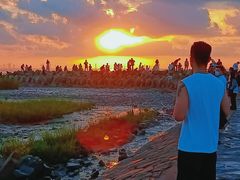 -南汇嘴观海公园