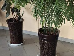 -李先生牛肉面大王(济泺路店)