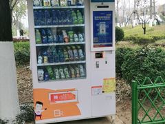 -金银湖国家城市湿地公园