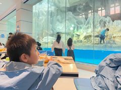 -帝企鹅自助餐厅•儿童岛•真企鹅(长隆企鹅酒店)