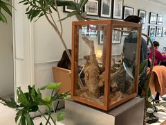 -一尺花园(安和花园店)