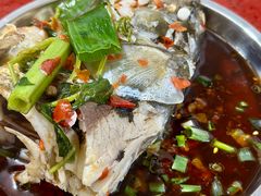 炖鱼头-老杨砂锅鱼庄