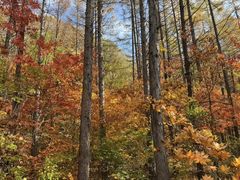 -本溪老边沟风景区