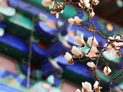 -天坛公园