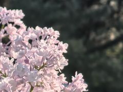 -国家植物园