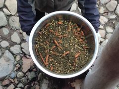 -泉州海丝野生动物世界