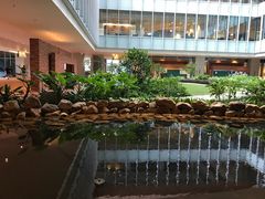 -香港大学