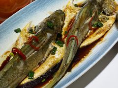 -33号大院·青岛本帮菜(五四广场店)