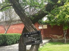 -总统兵马大元帅府