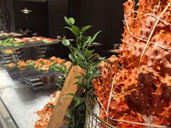 -曲水兰亭(北京四惠店)