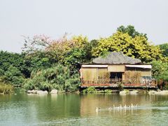 -海珠湖公园