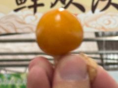 -长春农业博览园