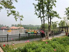 -上海长兴岛郊野公园