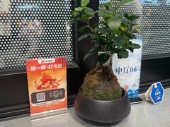 -老渔民·北塘海鲜(新港远洋宾馆店)