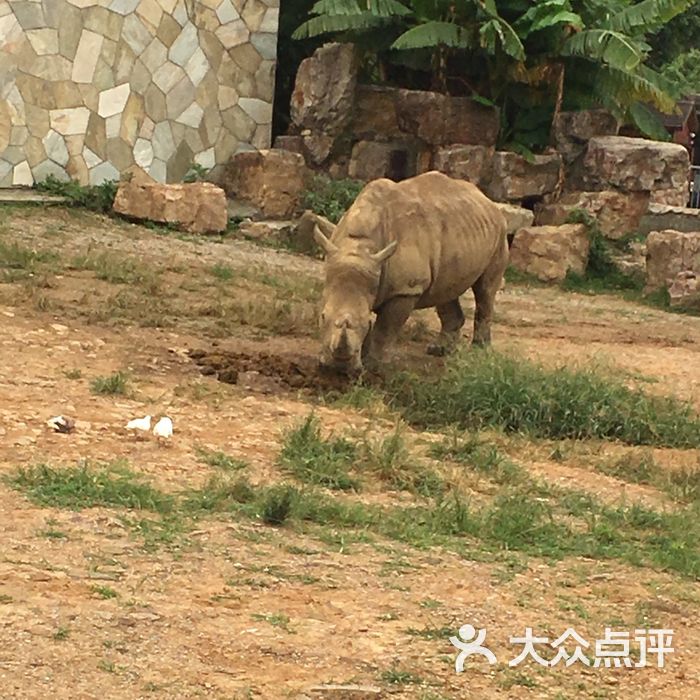 無錫動物園·太湖歡樂園