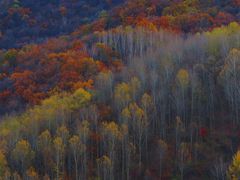 -玉渡山自然风景区