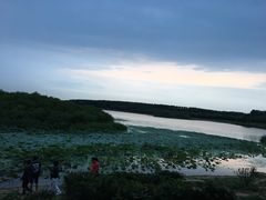 -丁香湖公园