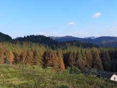 -山王坪喀斯特国家生态公园