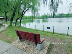 -大宁公园
