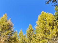 -苏木山森林公园