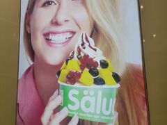 -Salud撒露欧洲冻酸奶(五道口购物中心店)