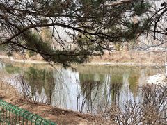 -长白岛森林公园