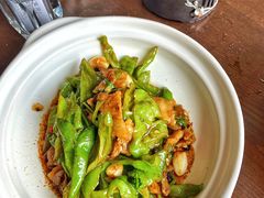 擂辣椒炒肉-百富源·海鲜辽菜(张士店)