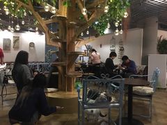 -共舞时光猫咖·狗咖(新街口店)