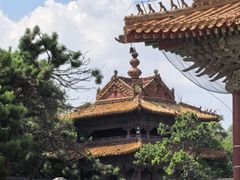-北陵公园