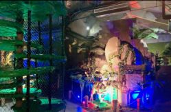 -恐龙探索乐园(磁器口店)