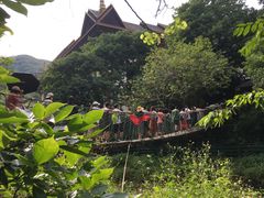 -西双版纳原始森林公园