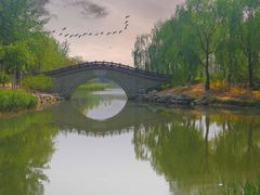 -大兴滨河森林公园