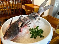 -小天鹅火锅·一线江景洪鼎旗舰店(洪崖洞店)