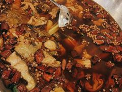 -沸腾鱼乡(知春路分店)